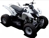 2009 Ligier Be Four 350 photo